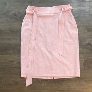 Ann Taylor Pencil Skirt
